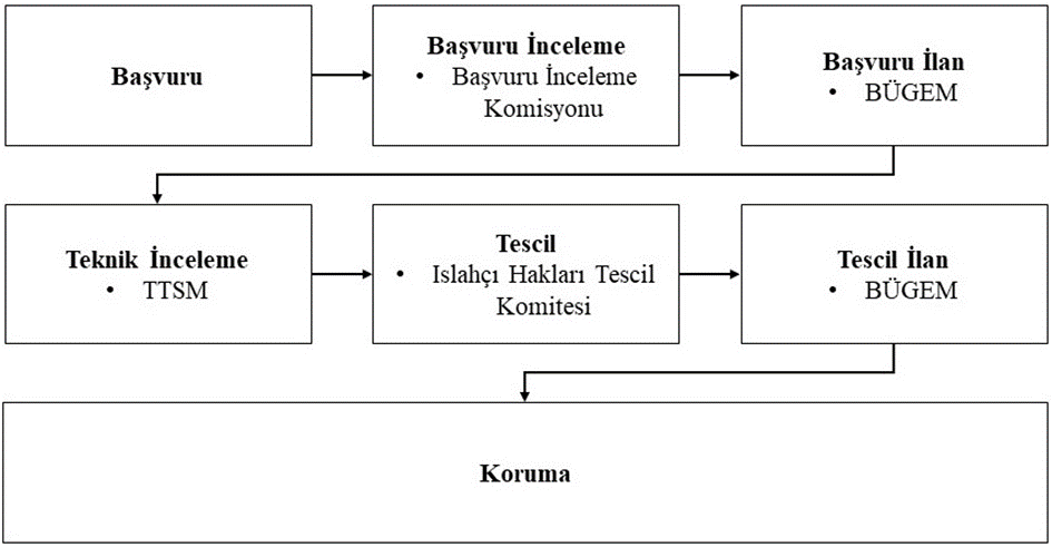 Islahçı hakkı işlemleri süreç akışı