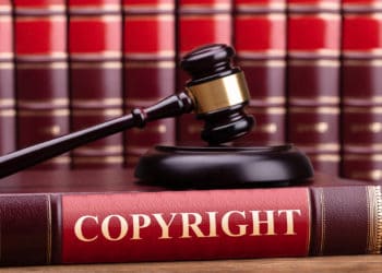 Kamuya Ödünç Verme -Dünyadan Bazı Örnekler-