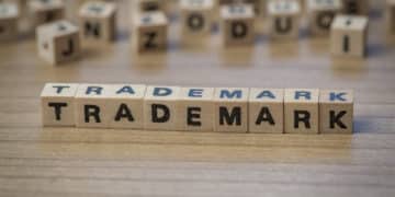 Marka Parodisi ve “North Face v. South Butt” Kararı