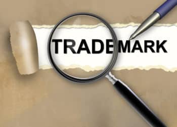 San Sebastian Cheesecake